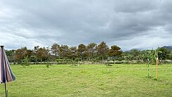 專售-花蓮壽豐超美大坪數農地UE023F