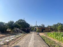 💎近飛牛牧場｜千坪開心農場＋小木屋