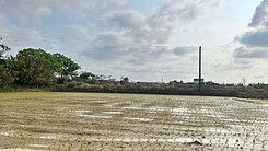 (專)新屋 大潭電廠 便宜低總價一般農