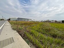 高鐵大道旁都計農地
