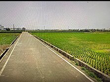 🍎新屋便宜農地