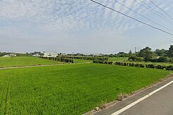 大矽谷後龍鎮苦苓腳段投資田~尚有500~1000坪