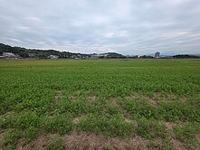 專任~芎林金獅段千坪黃金農牧用地首選