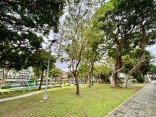 民生社區⭐富錦街林蔭電梯三房⭐