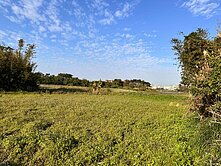 復旦中學 賦梅路旁便宜都計內農地