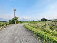 屏東高樹南華農地