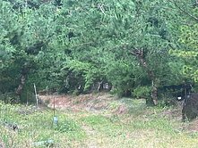 南投仁愛美景山泉休閒農地