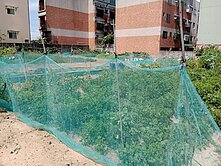 太保高鐵站旁方正建地