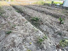 嘉義住商一銀 文化路尾旁方正建地