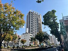 鑫空樹✨A13戶型稀有釋出✨帝王座向✨高樓景觀