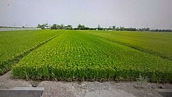 太保後潭都計內農地