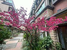 新竹皇昱尊品崗石別墅+雙車位