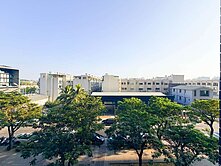 真愛東橋✨永久棟距樹梢景🌿三房平車衛浴開窗