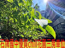 石牌國中花園三房車位