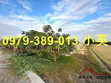 獨賣 路竹交流道大面寬農地