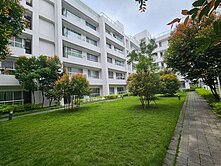 🍎新鹽行/史博館小社區3房平車~出價就談歡迎配件