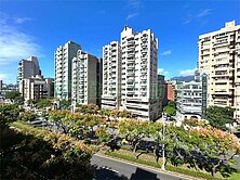 💥獨家忠誠路欒樹景觀車位華廈💥高考經紀人徐秀子