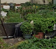 📢獨賣~❤️☞台中梧棲方正小建地☜❤️