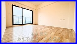 名成/南科無限視野雙車透天