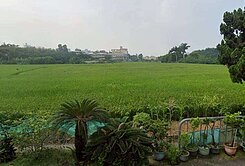 💫南屯高鐵門戶特區漂亮節稅農地💫