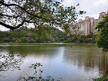 (專任)😍小巢憲琍🌈濱湖特區三房+坡道平面車位