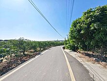 屏東枋寮4.2分有水電休閒果園