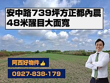 安中路739坪方正都內農