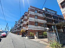 ~ 來看厝~林園商圈“新加坡式”優質車墅