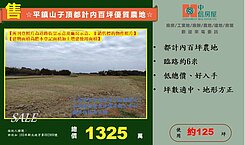 ☆平鎮山子頂都計內百坪優質農地☆