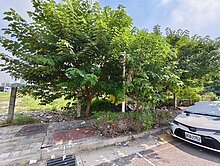 曾意婷🌈台中巨蛋十四期正豐樂路近水湳建地🌈