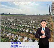 大樹瓦厝路農地🍀大車出入可🍀大坪數雙邊臨