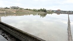 🔥門面大器🔥礁溪朝陽8米路千坪農地