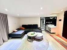  154中山北亮麗挑高4米一 房