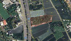 近中投｜草屯正新豐路上｜臨26米路農地(阿傳)