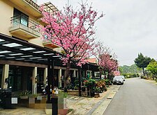 楊梅歐洲山莊渡假別墅