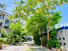 文山特區旁｜大雙車墅透天｜花香庭院透天｜近捷運