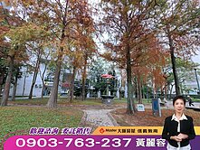 🍎世貿新城看101/綠景🍎二房附坡平車位🍎