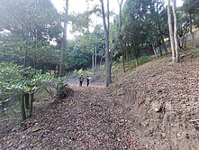 東勢優質大芧埔農牧用地