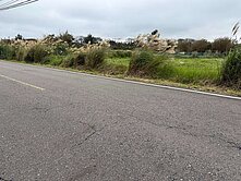 大園喜來登稀有一般農