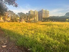 橋頭新市鎮後壁田段超優質方正建地