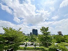 🔥 狂降價 單元二 面樹海3房 平面車位 🔥 