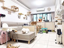 🔥【全社區最便宜｜桃園區3房車】🔥