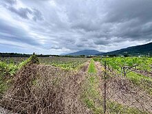 專-台東卑南鄉持分農地♥同心圓小錡