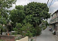 田尾福順圳田+建