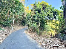 ☘️中興新村高爾夫球場旁~漂亮756坪農地