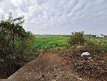 國86旁離塵不離城都計內美農地