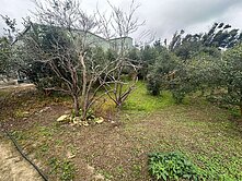 大溪一般農地 附平房