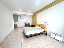 東區虎尾寮重劃區邊間大地坪三車墅【C033】