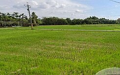 ✨南屯高鐵門戶特區漂亮節稅農地✨