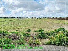 昭明國中旁2.9分農地0931384262